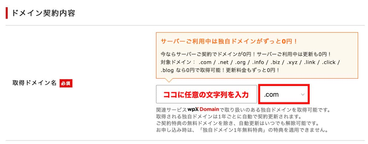 シン・レンタルサーバーで利用する独自ドメインの文字を入力